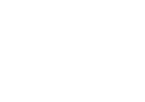 Ananea